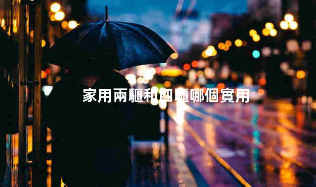 車兩驅和四驅有啥區別 車兩驅和四驅哪個省油